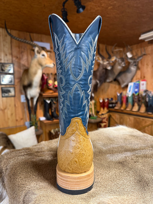 HP8011 - Horse Power Top Hand Men's Antique Saddle Smooth Ostrich Cowboy Boots with Blue Tops
