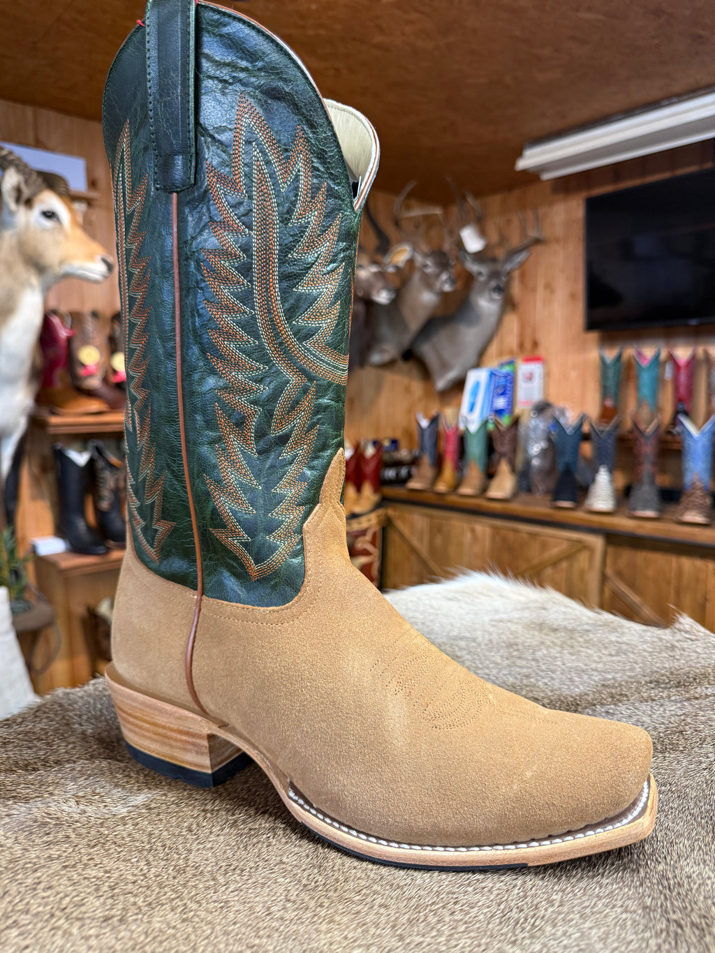 HP9500 - Horse Power Camel Suede Vamps with Emerald Tops