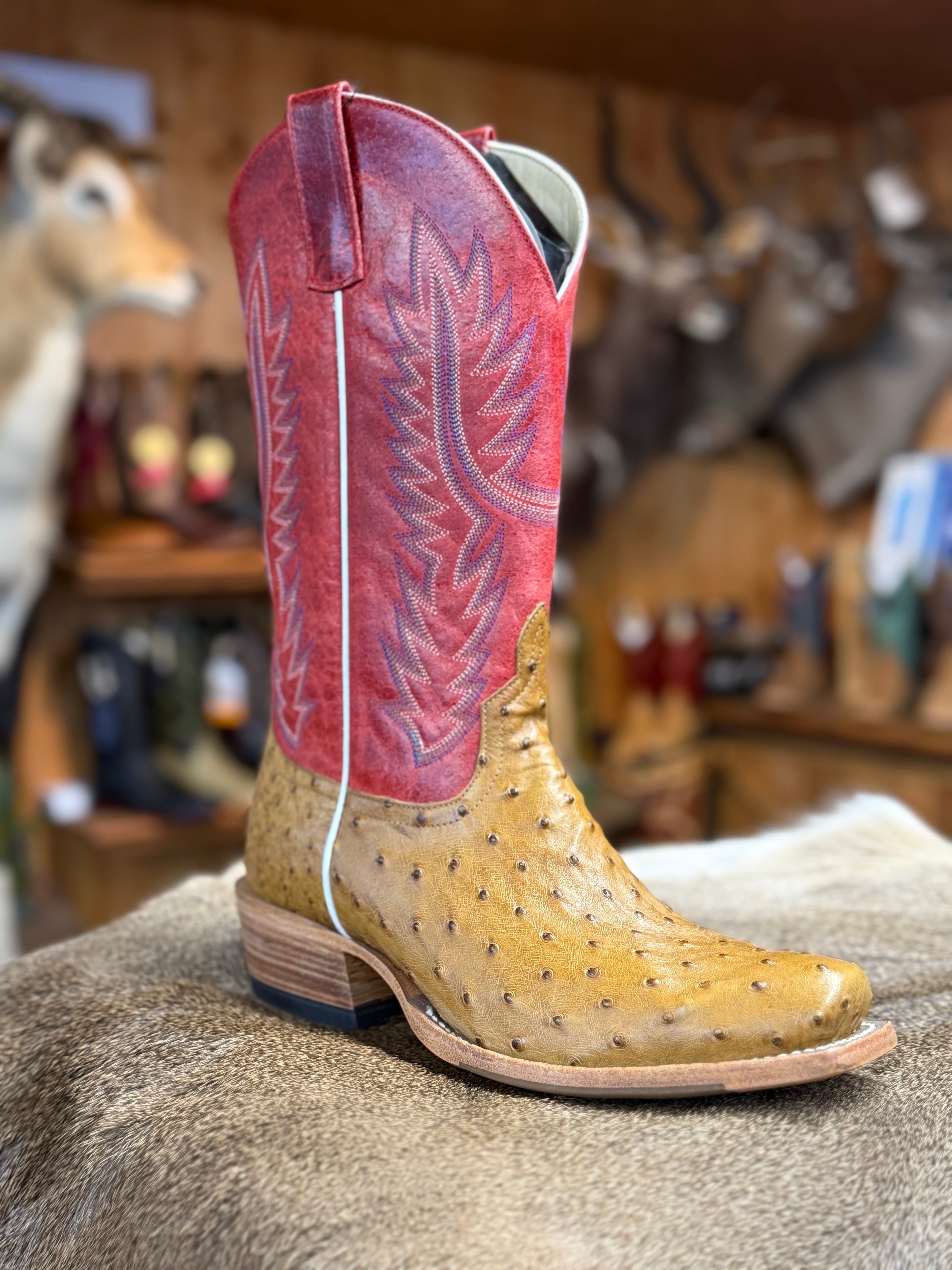 HP9506 - Horse Power Top Hand Men's Antique Saddle Full Quill Ostrich Cowboy Boots
