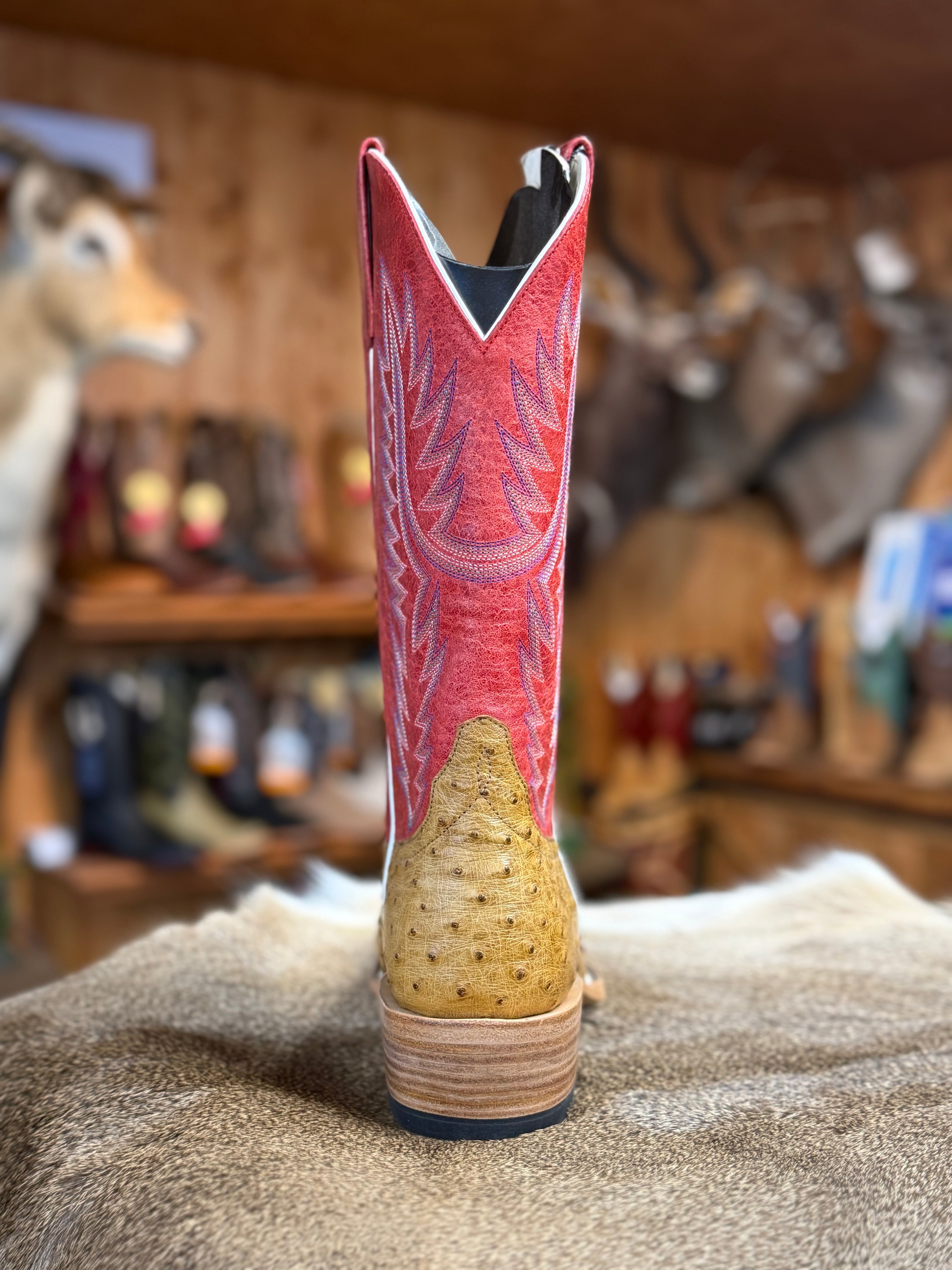 HP9506 - Horse Power Top Hand Men's Antique Saddle Full Quill Ostrich Cowboy Boots