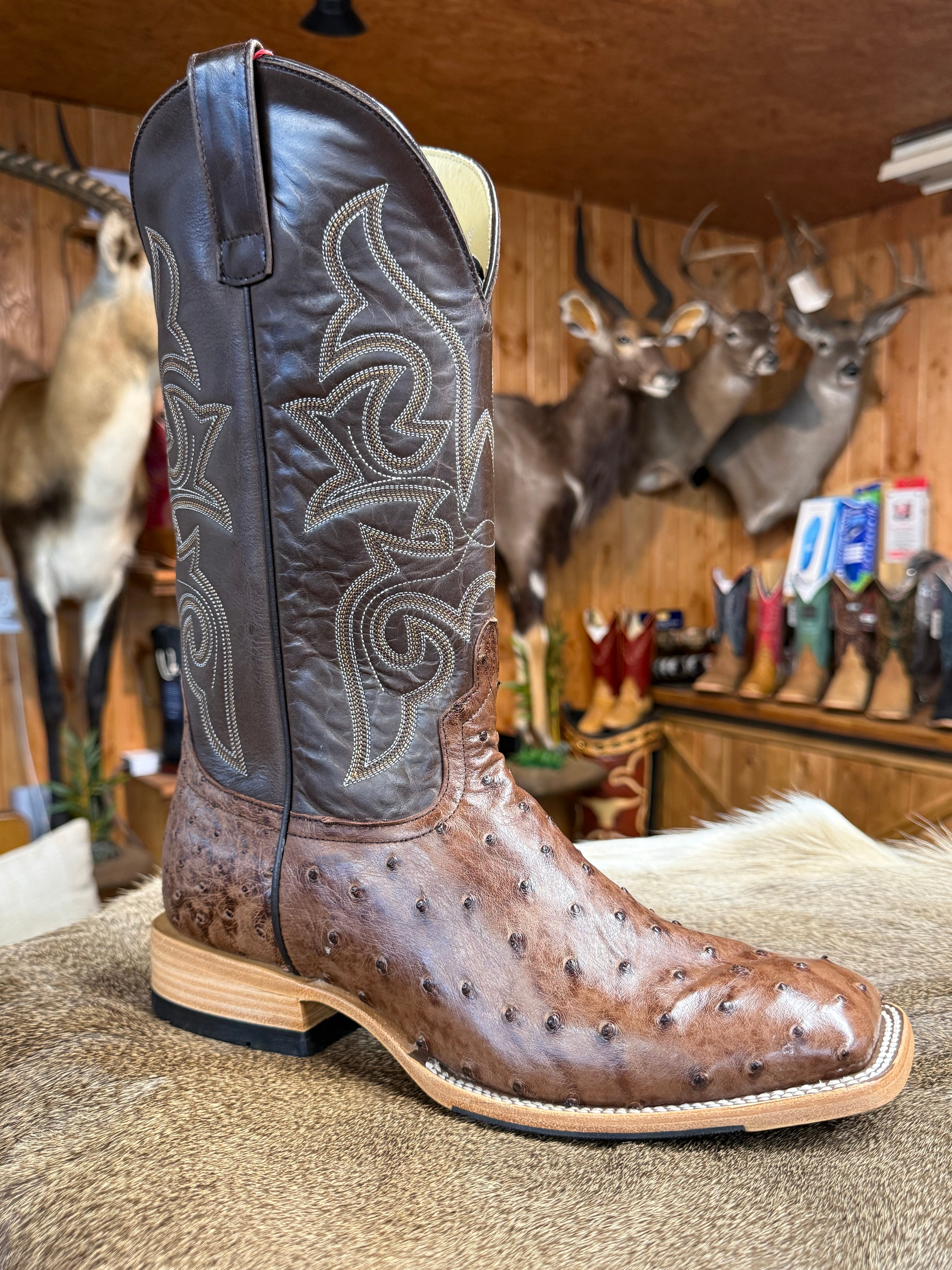 Horse Power HP8001 Kango Tobacco Full Quill Ostrich Boots