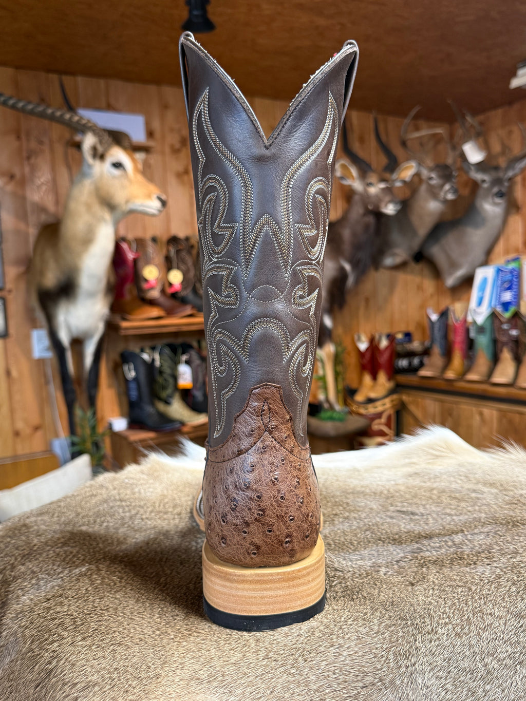 HP8001 - Horse Power Top Hand Kango Tobacco Brown Ostrich Boots