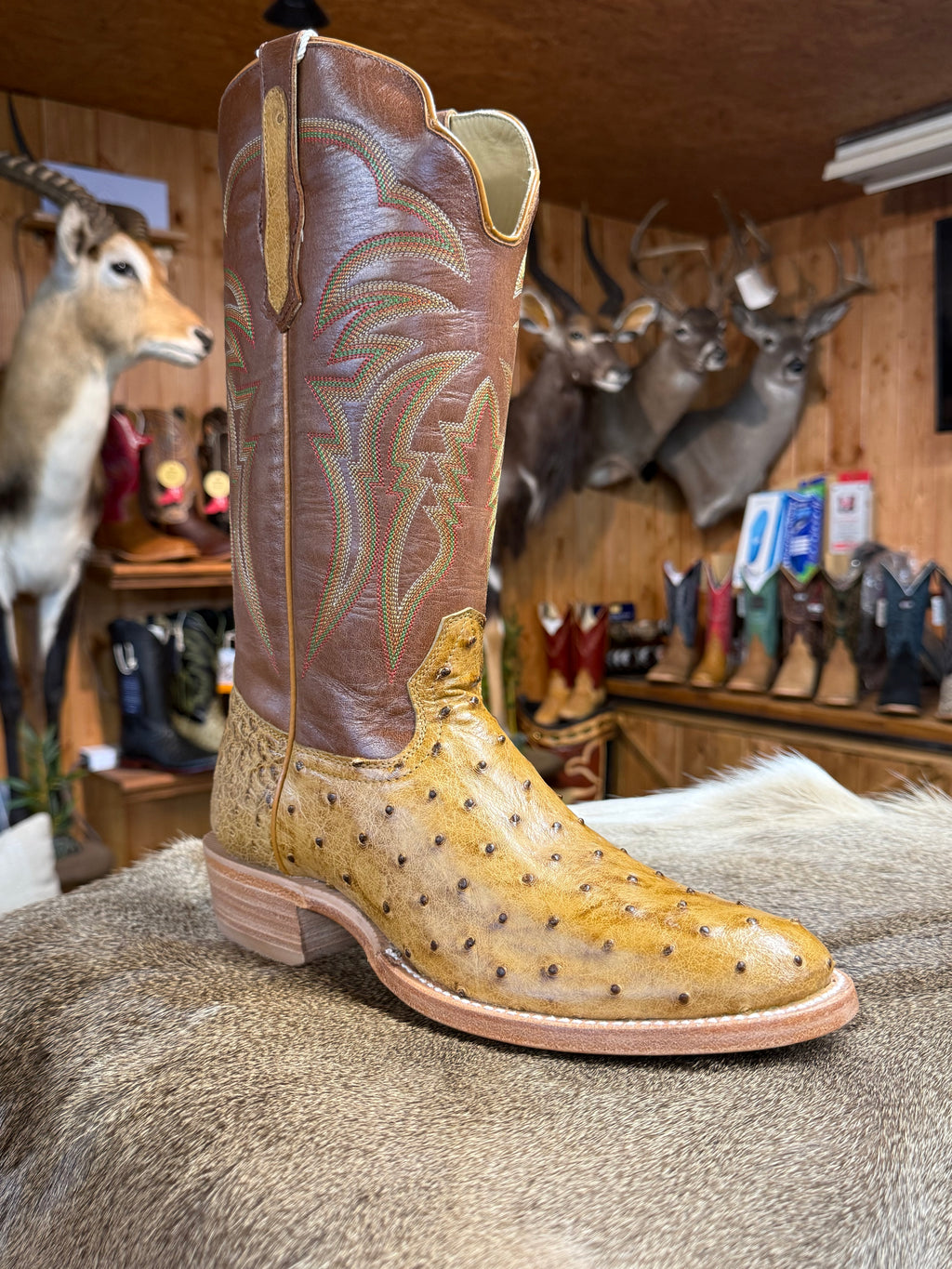 RW4533-6 - R. Watson Antique Saddle Full Quill Ostrich Boots