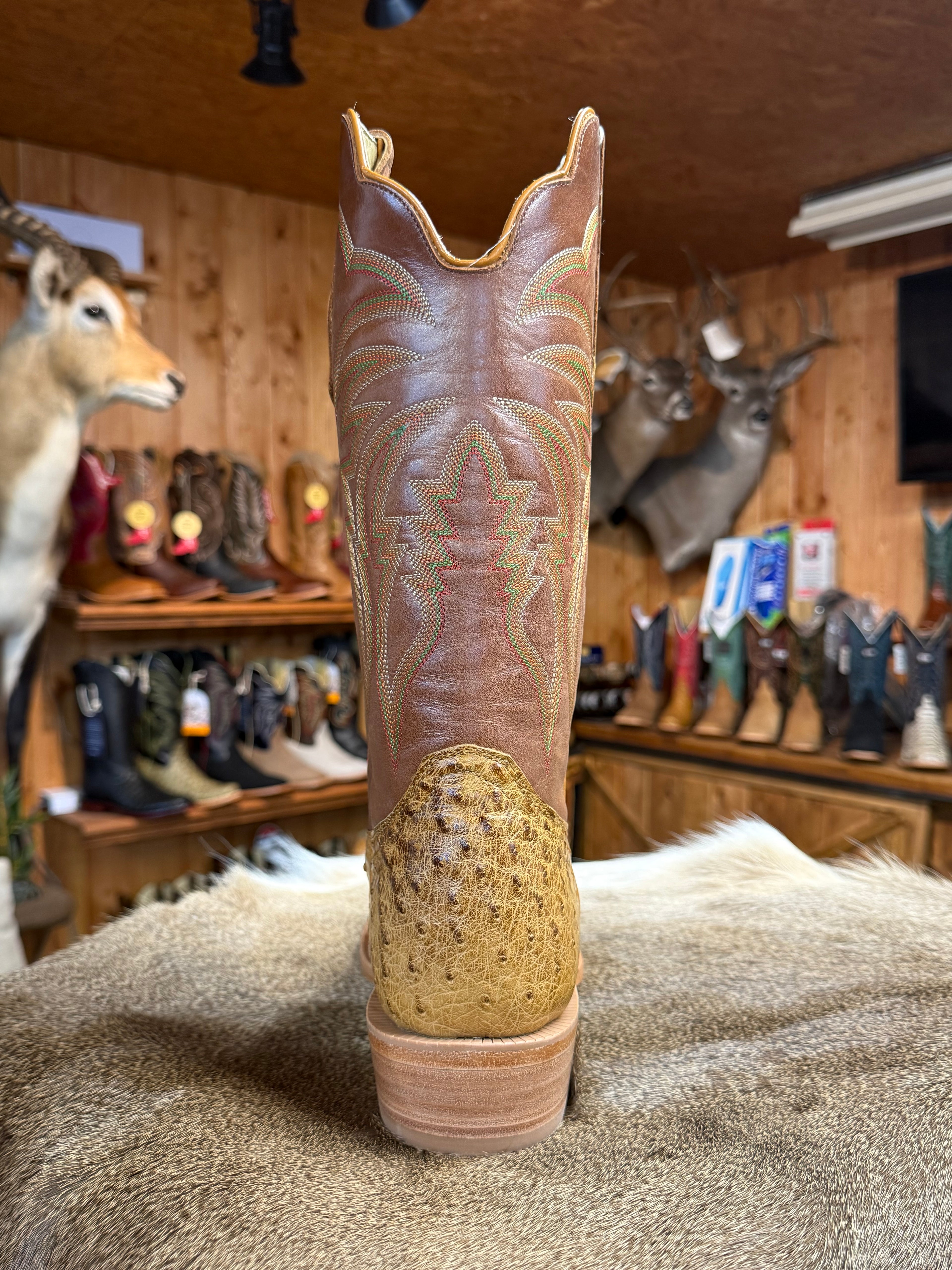 RW4533-6 - R. Watson Antique Saddle Full Quill Ostrich Boots