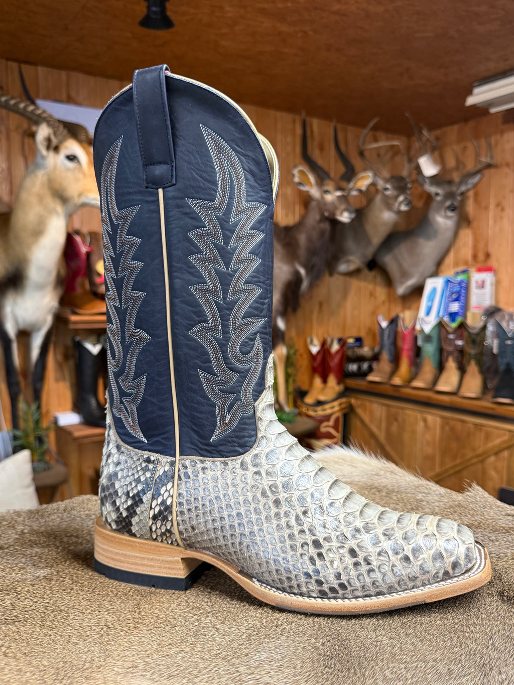 HP8077 - Horse Power Men's Mink Back Cut Python Cowboy Boots with Blue Jean Texas Tops