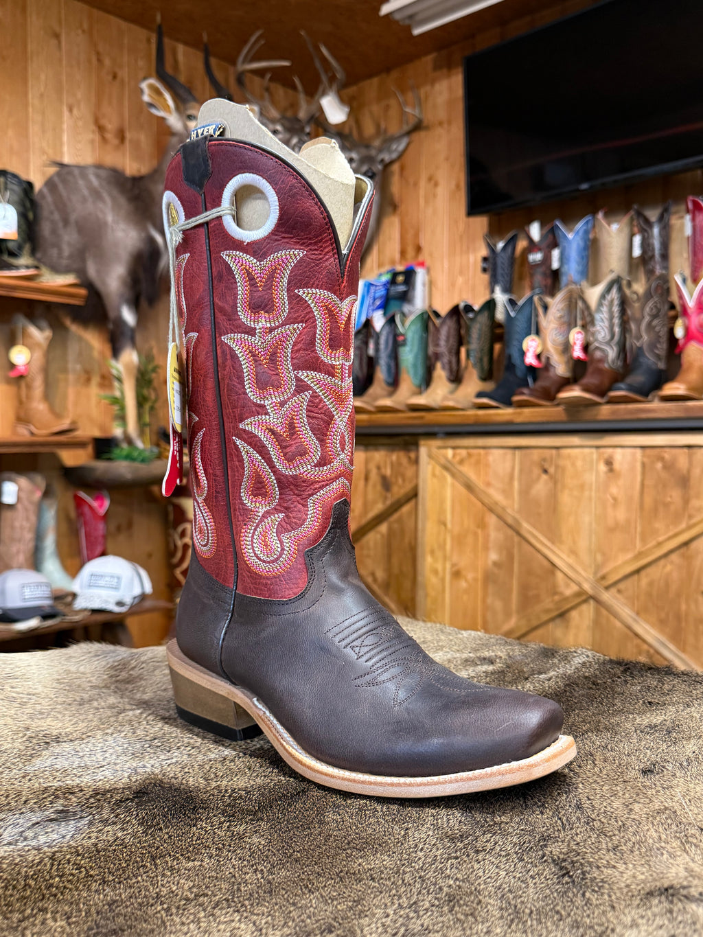 HW42015 Hyer Tipton Brown Women's Cowboy Boots